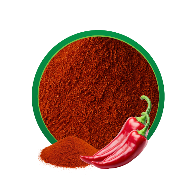 Chile Guajillo Banner 2