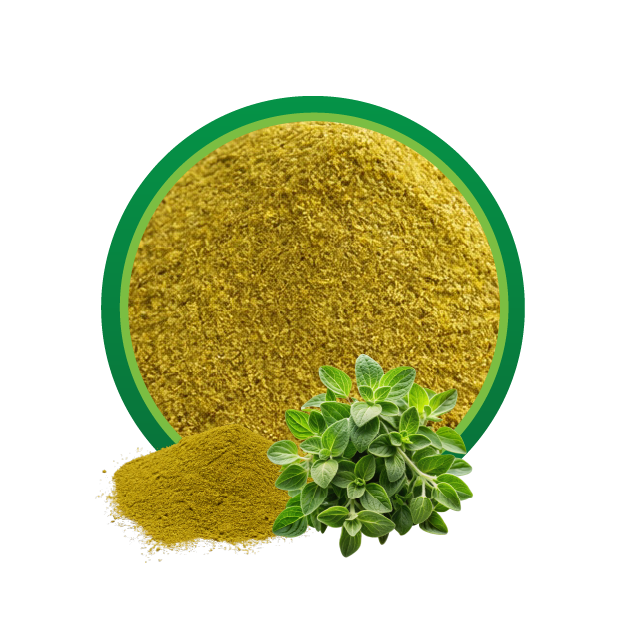 Oregano Banner